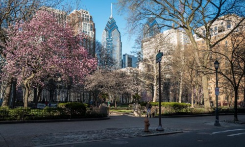 a street with trees and buildings in the background