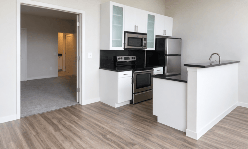 Apartment kitchen with frosted-glass cabinets, black granite countertops, and stainless steel appliances