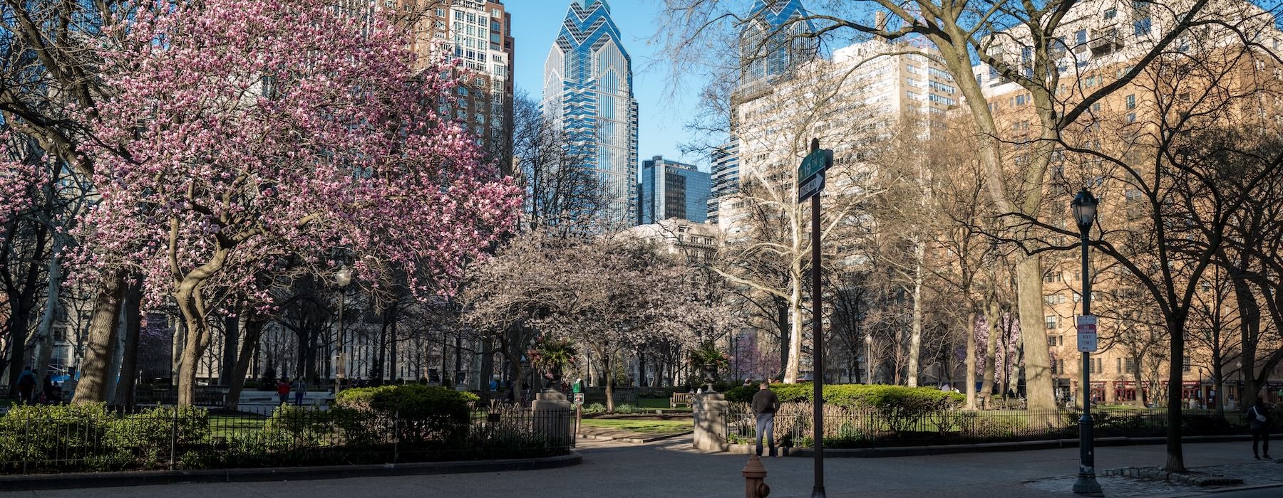 a street with trees and buildings in the background